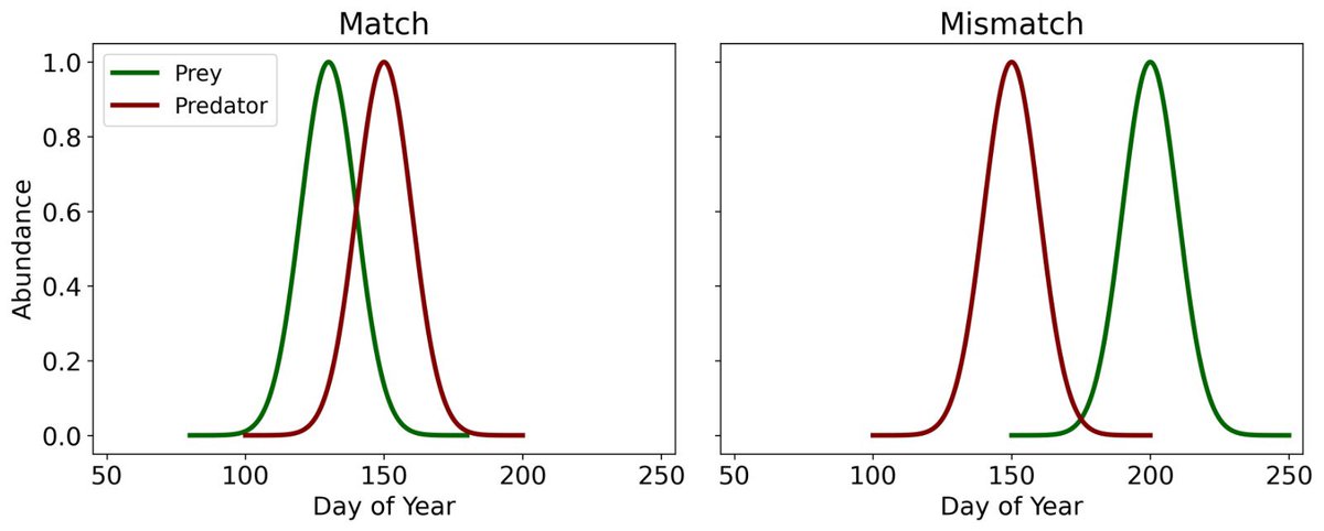 <a href="/esa/">European Space Agency</a> <a href="/PlymouthMarine/">Plymouth Marine Lab</a> <a href="/SandyThomalla/">Sandy Thomalla</a> Seasonal adjustments such as this also raise concerns that the base of the food web may become desynchronised from higher tropic levels, known as the match/mis-match hypothesis.