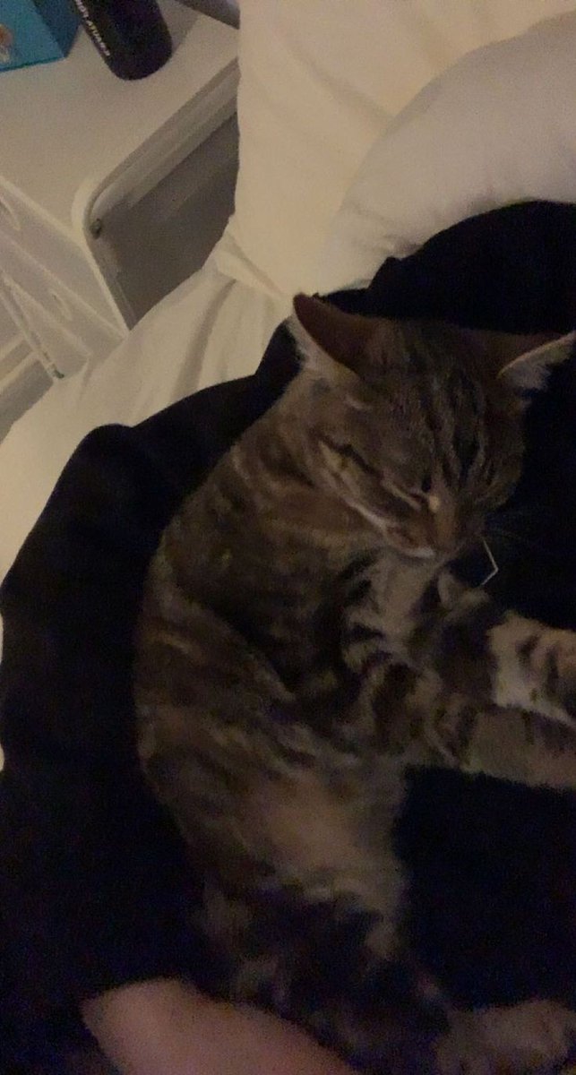 я хотела пойти сделать что-то материально полезное в рамках человеческого мира, но мне так неудобно его тревожить...