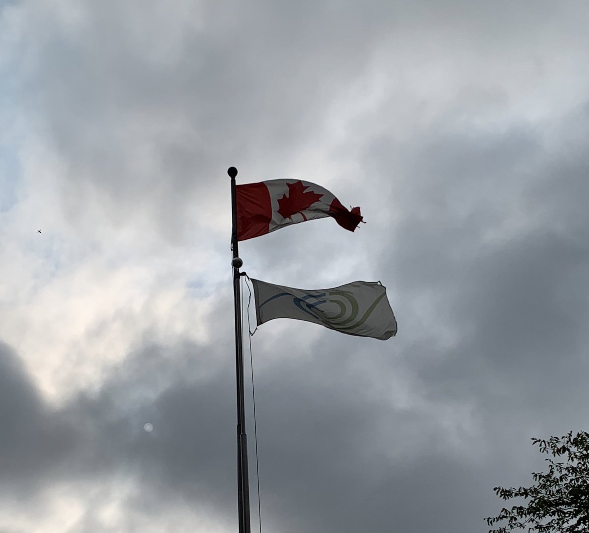 Transplant Manitoba tweet media