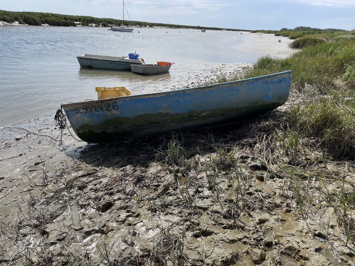 Arnaud Périn tweet media