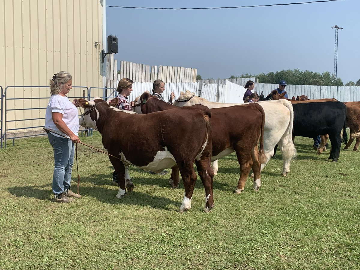 farmgirlkjb's tweet photo. Crazy couple of weeks! Other than MANY jobs to do - spending time with good cattle and people are good for the heart! #canadianherefords #emofair2023 #drydenfair2023 #specialfarmkids #livingbtbestlife https://t.co/p5kkj7p6wf