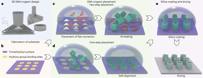 NatureNano's tweet photo. New content online: Site-directed placement of three-dimensional DNA origami https://t.co/vrEVJYDldJ https://t.co/mc9gOF4sqg