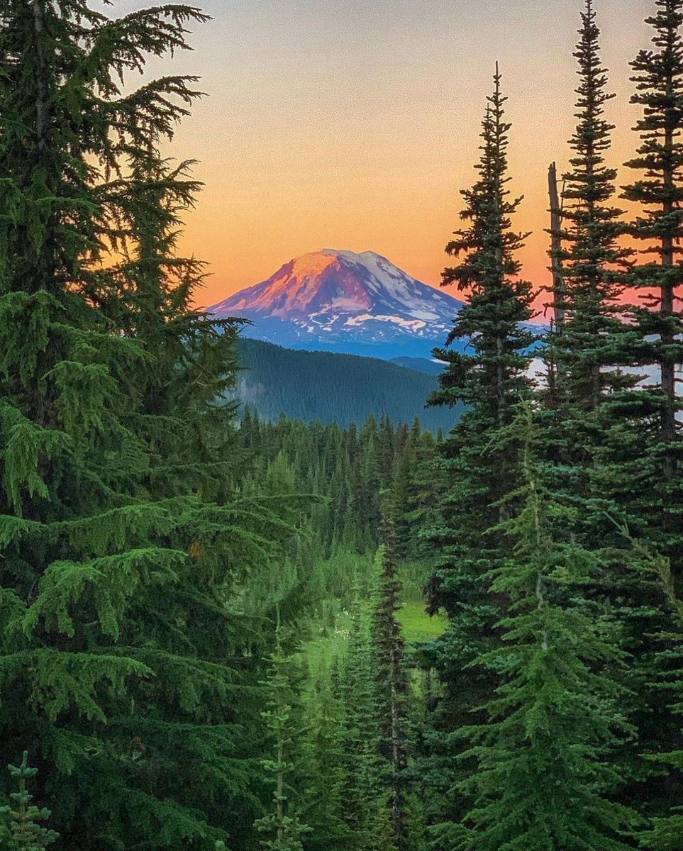 Good Evening 🌄🌲