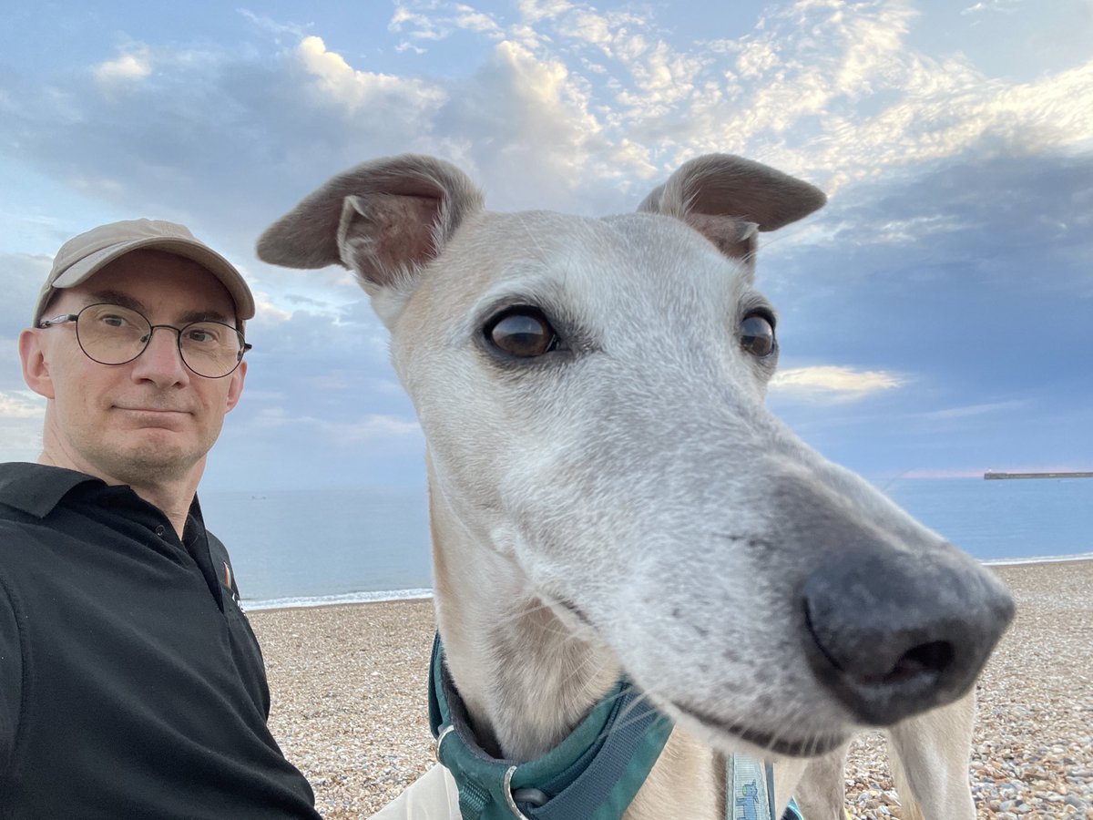 Just enjoying the beach #dogsoftwitter #whippets #beach