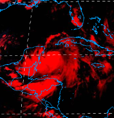 BobbiStorm's tweet photo. Red PM AM in blue/gold. Let me explain this about GOM #Hurricanes #IDALIA
1. WXR hits FL out in advance of Cane
2. They intensify fast over hot water.
3. Move FAST foward speed towards trough
4. You run out of time watching it &amp; bc it looks weak now.
Everything changes FAST. https://t.co/PW21MIFMlU