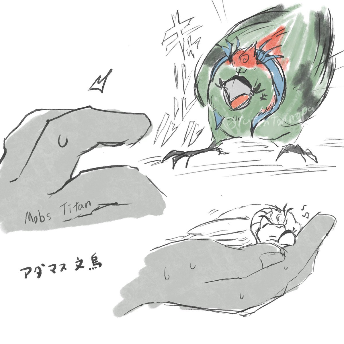 tutentonnopa's tweet photo. ※擬鳥化
アダマス文鳥 Adamasuparrow https://t.co/drd6x4MsQe