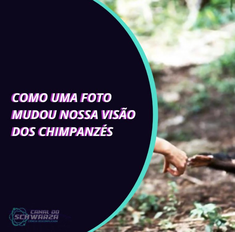 Forçaram a ciência a abandonar a ideia de que os seres humanos seriam os únicos seres sencientes, com personalidade, mente e emoções

Saiba mais: bit.ly/3KTLvuK