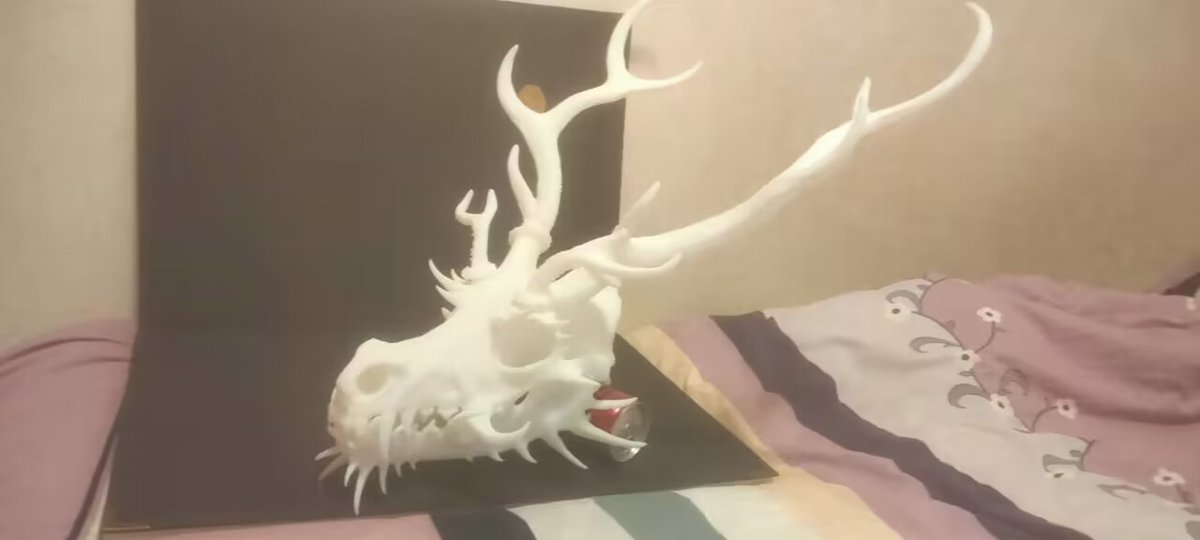 Western dragon ＆ Eastern dragon's skull 3d Printed
