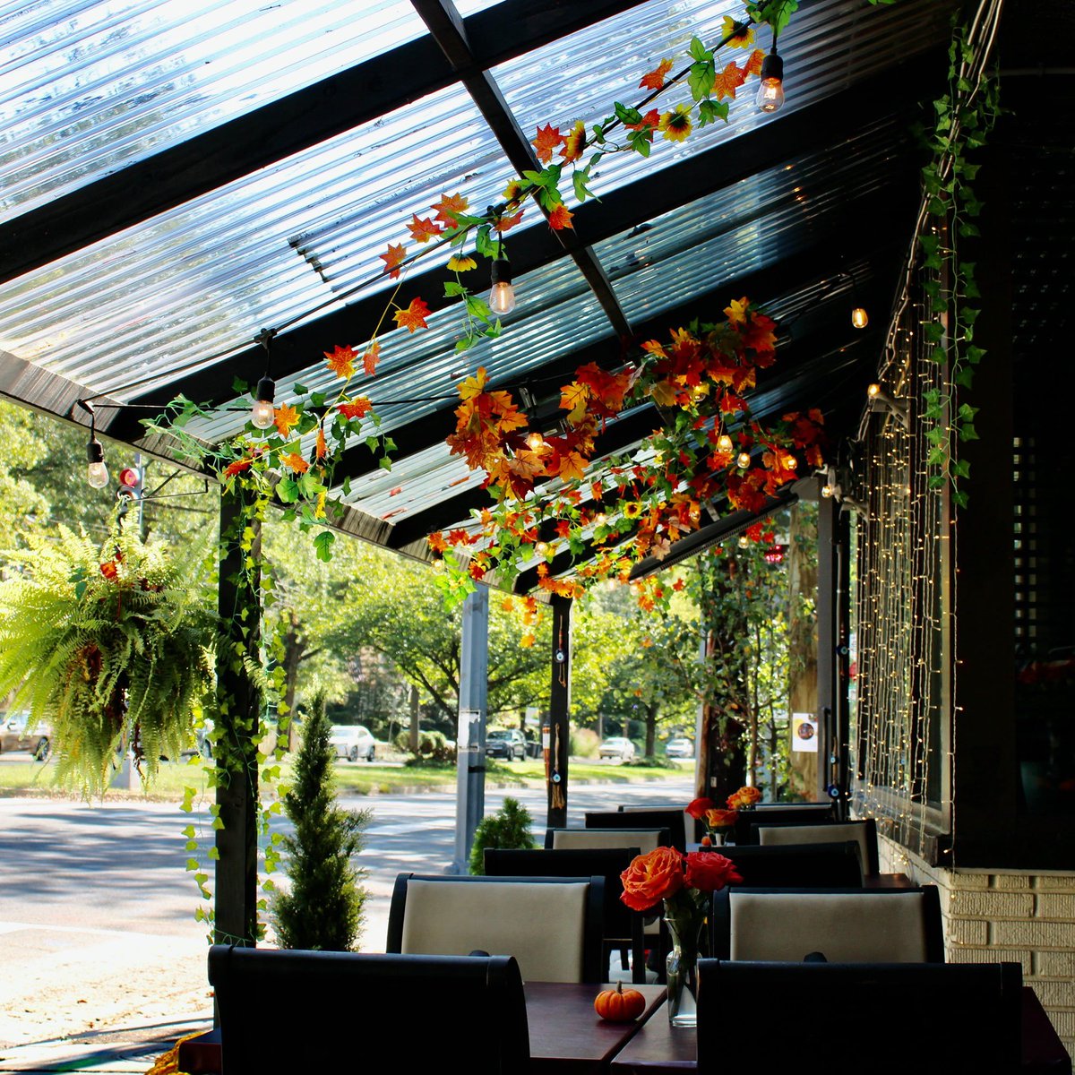 Aracosia McLean is closed on Mondays, but our other locations in DC &amp; Springfield are ready to serve you for dinner! Join us on our beautiful patio at our DC location, Bistro Aracosia! It's only about 10 minutes away from our McLean location with the same delicious menu!