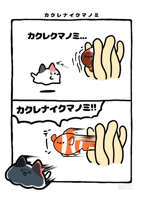 カクレナイクマノミ 