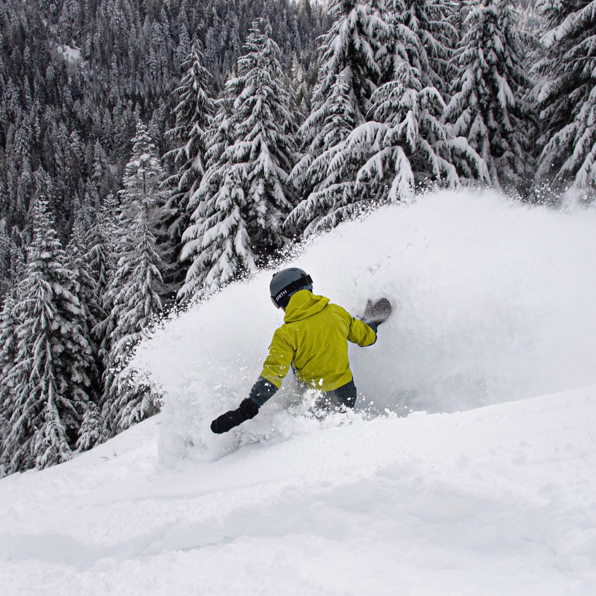 Anyone else dreaming of fresh pow? We sure are ❄️ 

Psst... Season Pass prices go up in ONE week - don't delay, grab a pass today! shop.cypressmountain.com/s/season-passe…
