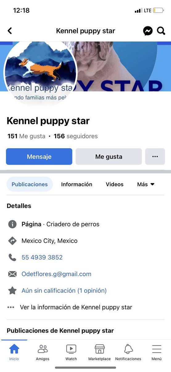 Ximevale101's tweet photo. @AztecaNoticias En @IztacalcoAl un maltrato terrible a muchos perros es un criadero, sin comida, sin agua, en la lluvia, el olor es insoportable, se comen sus propias heces, ya hicimos denuncia los vecinos a @PAOTmx y sigue la misma situación, @MundoPatitas @supercivicosmx https://t.co/DjPcsdgFhV