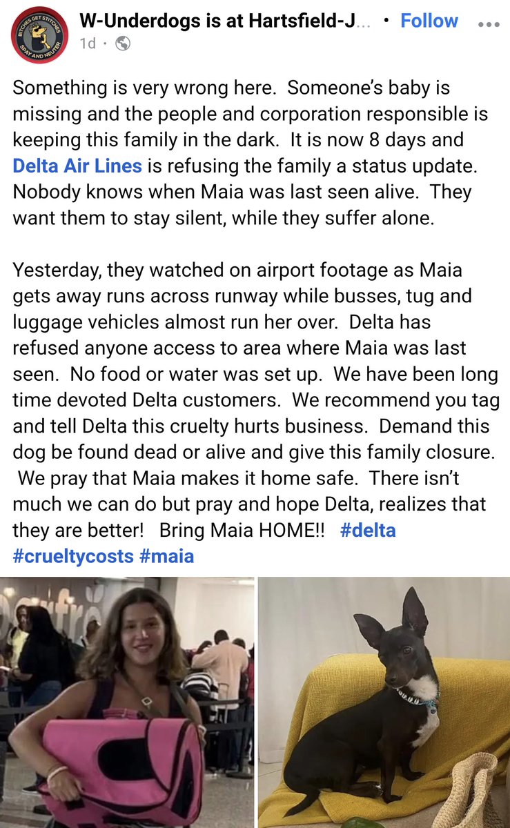 shauna li tweet media