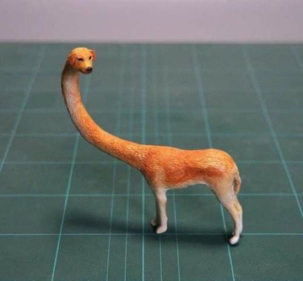 bbysanimals's tweet image. 