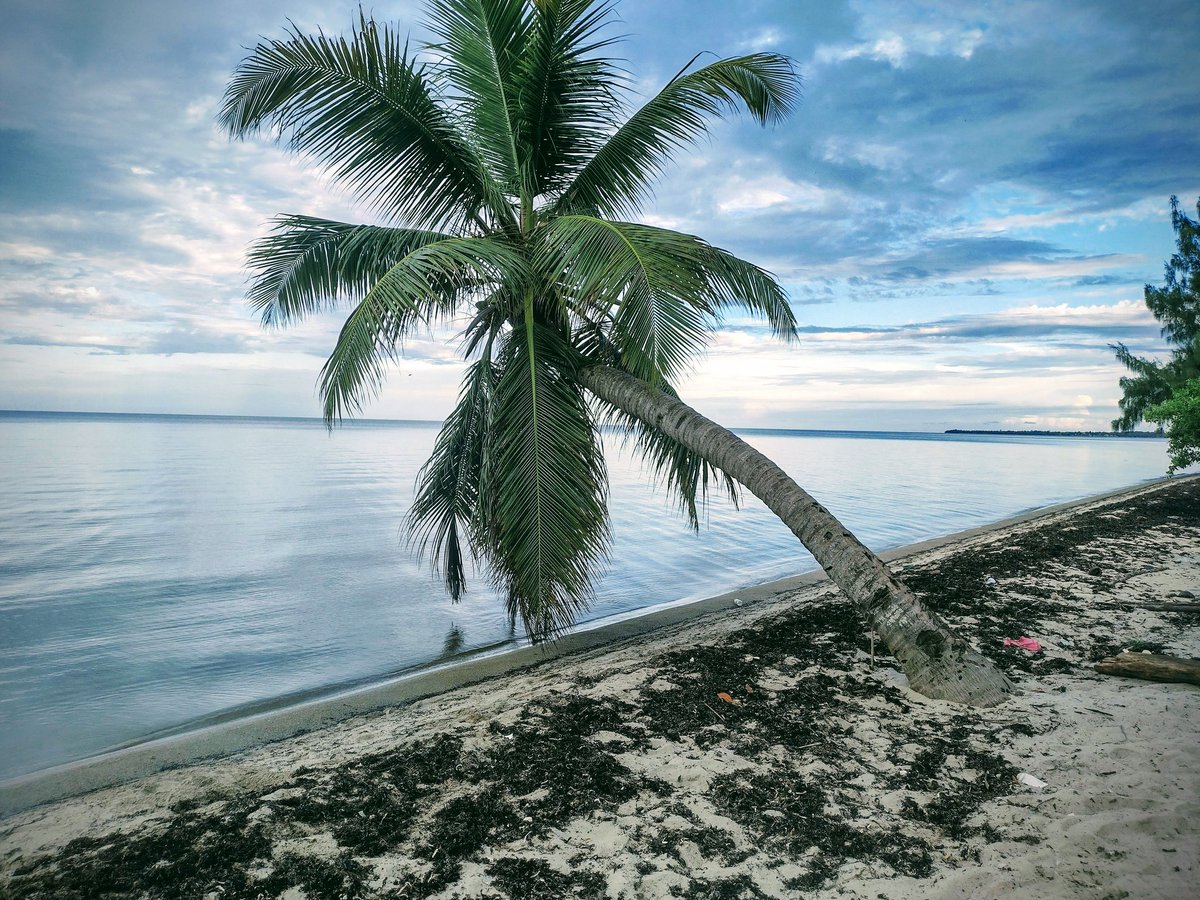 It's a great day to be alive. Good morning from the village of love! #culturalsurvival #Garifuna #vacationactivities #vacationdestinations