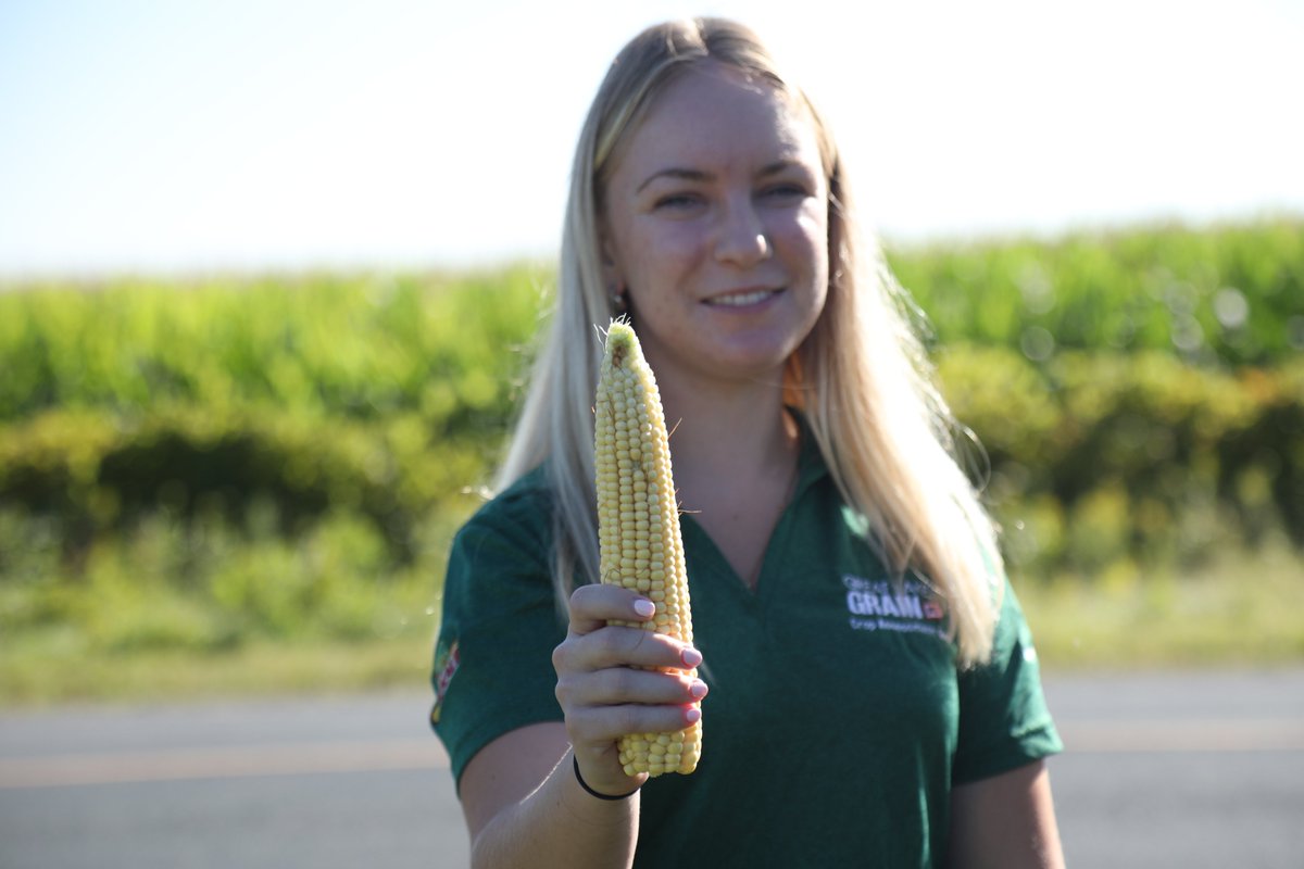 There's lots of action happening for the next two weeks at the 14th Annual Great Lakes Grain Crop Assessment Tour 2023. Today, Alicia, Chad, Nolan, Jen, and Lynn hopped in a field near Ayr to kick things off. Follow #GLGTour2023 for updates.