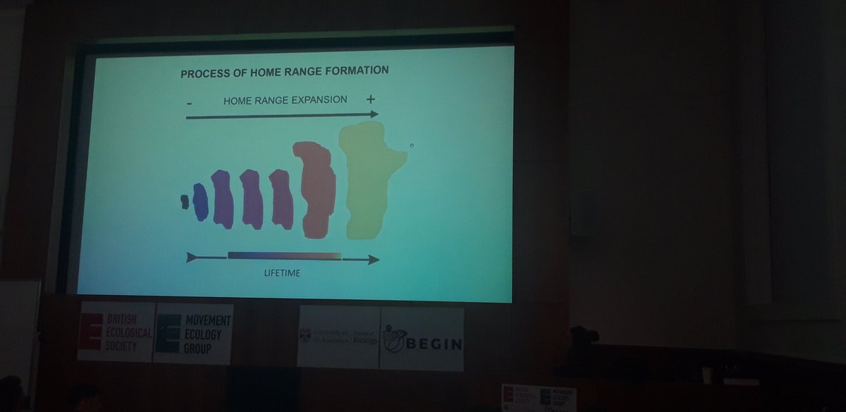 BES_Move_SIG's tweet photo. Now Aida Parres Lluch presents her work on 'Unveiling the impact of outdoor activity on home range formation in a wide-ranging species'.  #BESMove2023 https://t.co/QTE367olYt