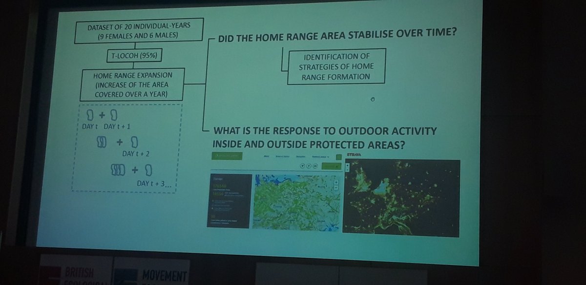 BES_Move_SIG's tweet photo. Now Aida Parres Lluch presents her work on 'Unveiling the impact of outdoor activity on home range formation in a wide-ranging species'.  #BESMove2023 https://t.co/QTE367olYt