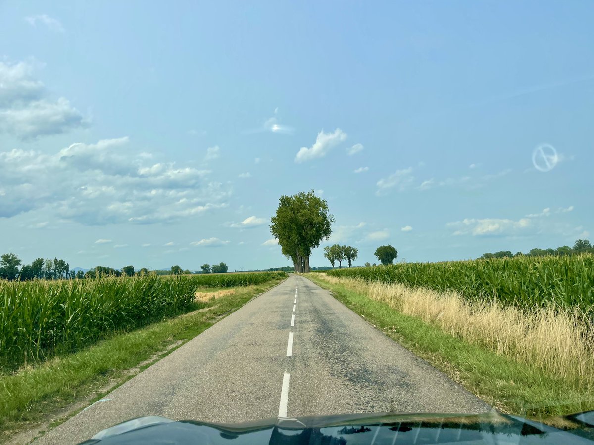 medhi_medhi_b's tweet photo. تو سال گذشته تقریبا ۵۰ هزار کیلومتر رانندگی کردیم. فقط تو ماه گذشته حدود ۷ هزار کیلومتر داخل اروپا. باید بگم بعد این همه مدت تجربه (۲۰ سال - ۳۶ تا کشور)، رانندگی تو آلمان مخصوصا اتوبان هاش واقعا یه چیز دیگست! هیچ جا شبیهش نیست! یه سری از تفاوت هاش با رتبه های بعدی:

/١ https://t.co/GBWALE6P5a