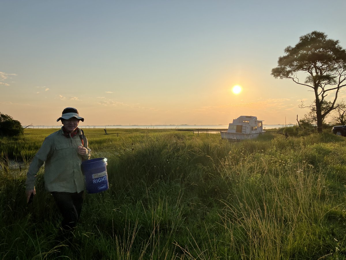 Virginia Coast Reserve LTER tweet media