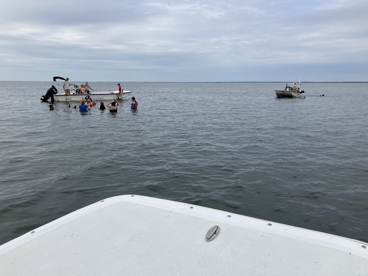 Virginia Coast Reserve LTER tweet media