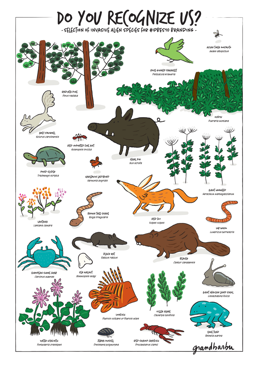 ipbes tweet media