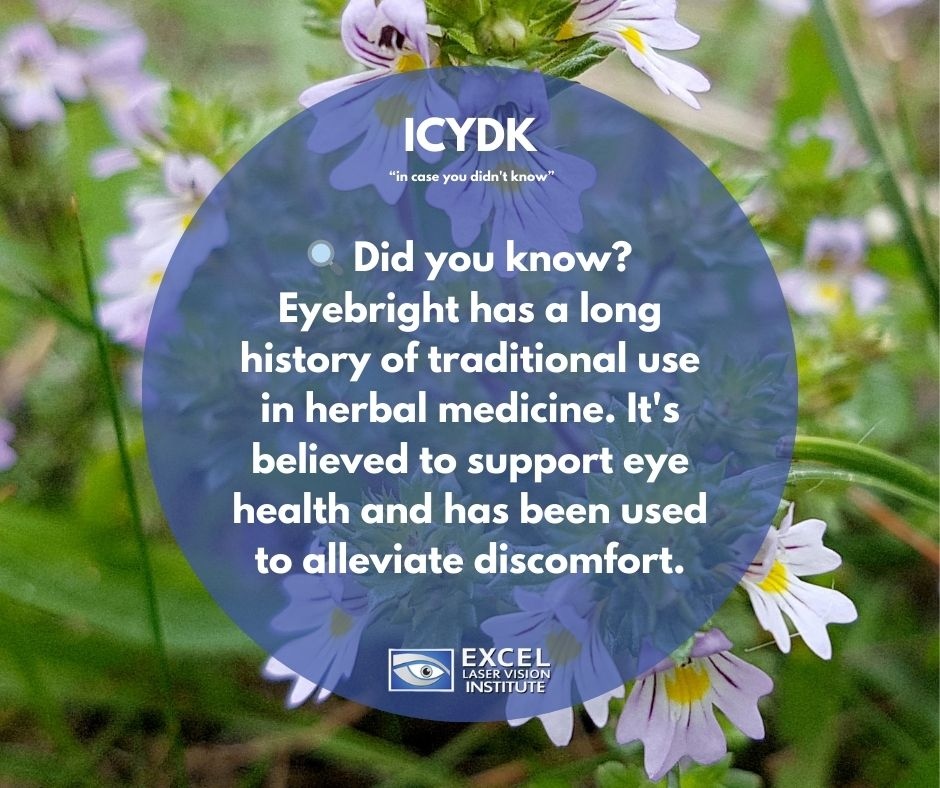 Excel_Eye's tweet photo. 🔍 Did you know? Eyebright has a long history of traditional use in herbal medicine. It's believed to support eye health and has been used to alleviate discomfort. Plus, its presence in meadows and grasslands adds a pop of color that's simply enchanting!

#incaseyoudidnotknow https://t.co/FHKg3pNAmh