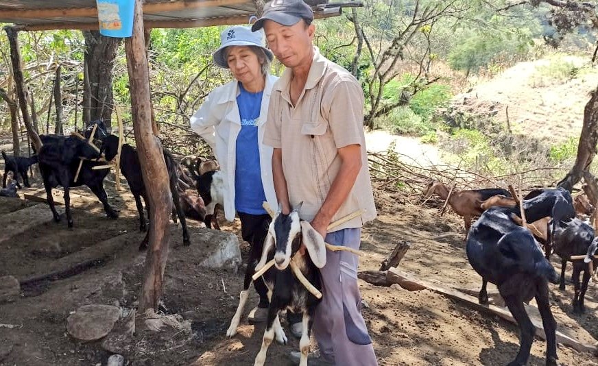 #Loja | Continuamos trabajando en #Paltas 📍 con nuestros productores ganaderos en actividades de:
➡️ Desparasitación y vitaminización caprina, porcina y bovina.
➡️ Castración en porcinos.
➡️ Tratamientos profilácticos y vacunación en bovinos para carbunco sintomático.