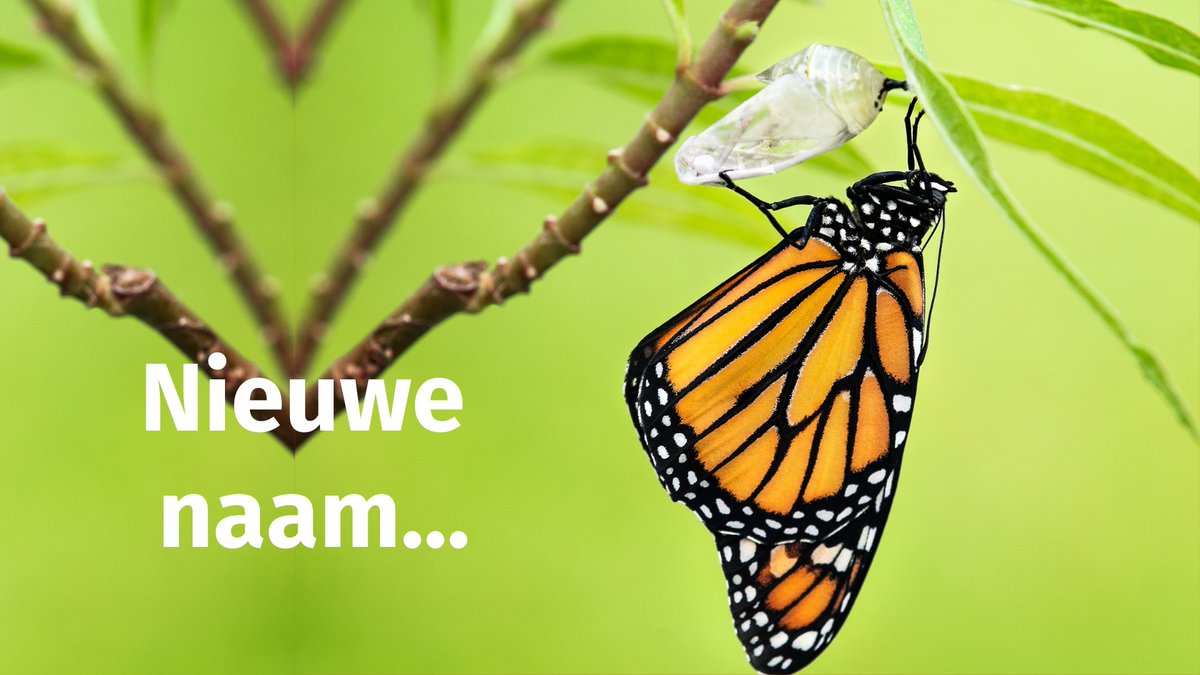 KatalysNL's tweet photo. We schudden morgen ons oude jasje af en komen tevoorschijn met een nieuwe naam! Ook op onze social kanalen. Een beetje spannend is het wel, maar wij zijn er blij mee. Morgen zien we je terug met een frisse look!

#nieuwenaam #naamswijziging #bewonersinitiatieven #knhmfoundation https://t.co/jDA197gHst