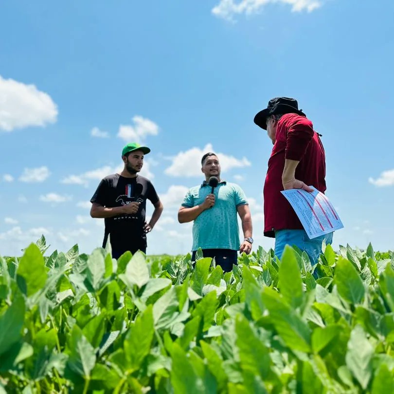 #CultivandoPatria | 🌱🇻🇪 4.300 hectáreas de soya brasilera se producen en la Agropecuaria Efa en el estado Monagas.

@minagriculturave @nicolasmaduro @wcastropsuv