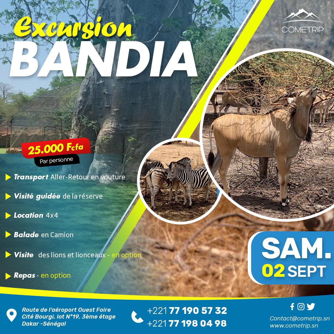 ComeTripSn's tweet photo. L'été est là et Cometrip vous a reservé plusieurs activités un peu partout au Sénégal.
Voyagez chaque weekend avec nous!

Réservation sur le site :  https://t.co/hSPKSGLW4i
771980498/ 771905732 https://t.co/pnxdBBpOQE