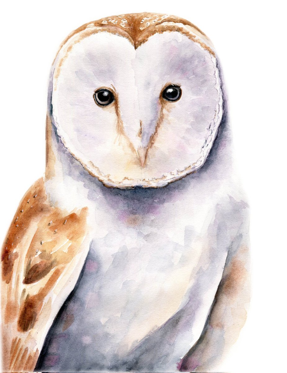 Een draadje met moois wat je allemaal in de sale in mijn webshop kunt vinden.

Er zijn nog een paar uilen beschikbaar:

vanjojan.nl/originelen

Delen wordt enorm gewaardeerd 🥰