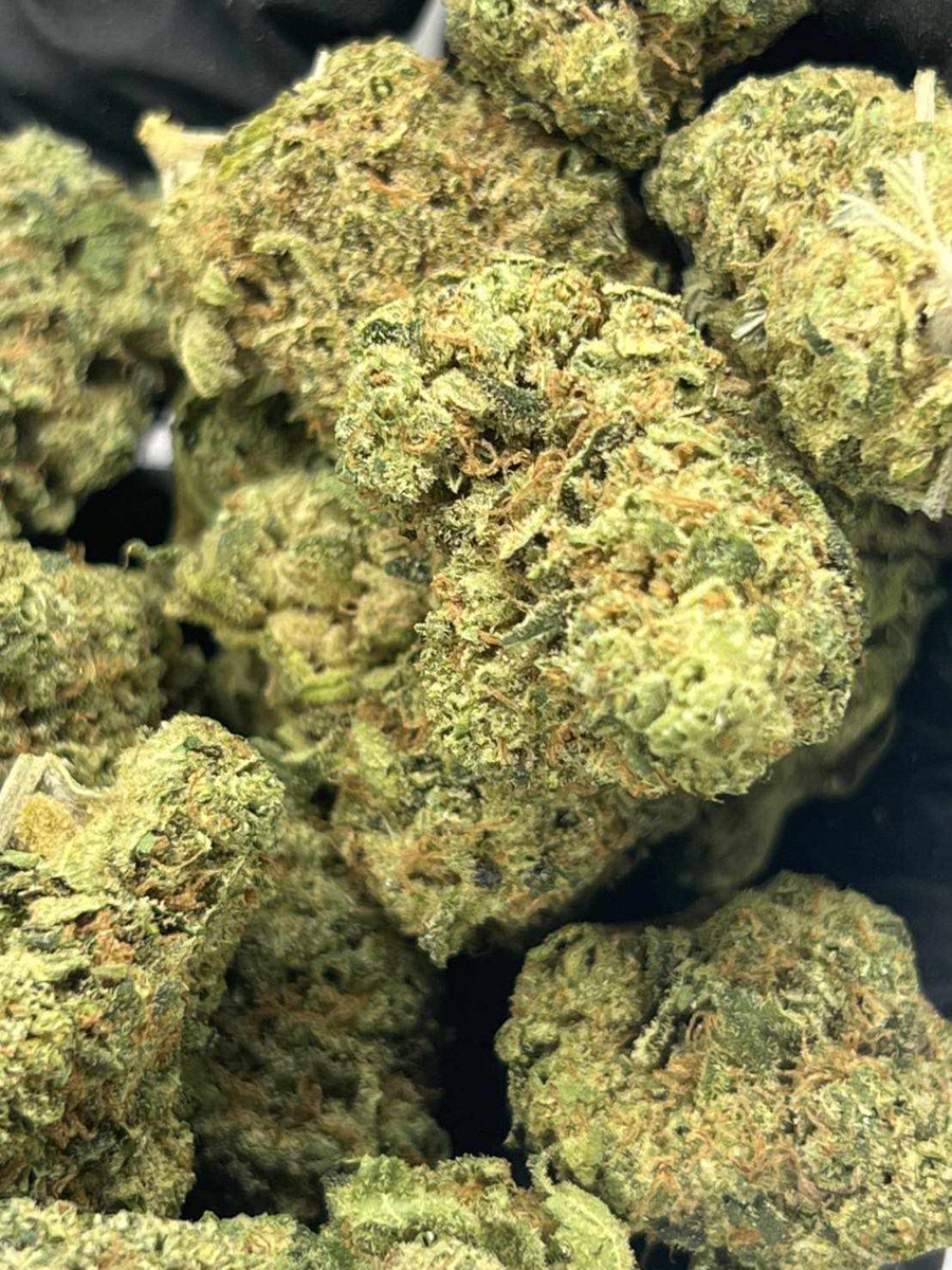 Coke75Shop's tweet photo. 📍Colt.45📍❗️ดอกรวม
THC 27.19% / Indoor [แอร์]  
Indica 65% Sativa 35%
ค่าย Linda Seeds 
 🍀1 ขีด/100G =  3,200 รวมส่ง
    💌ปลายทางโอนมัดจำ150💌
     💌กันสั่งเล่นร้านเส��ยหาย💌
 ____________________________ https://t.co/8I24K8M3pw