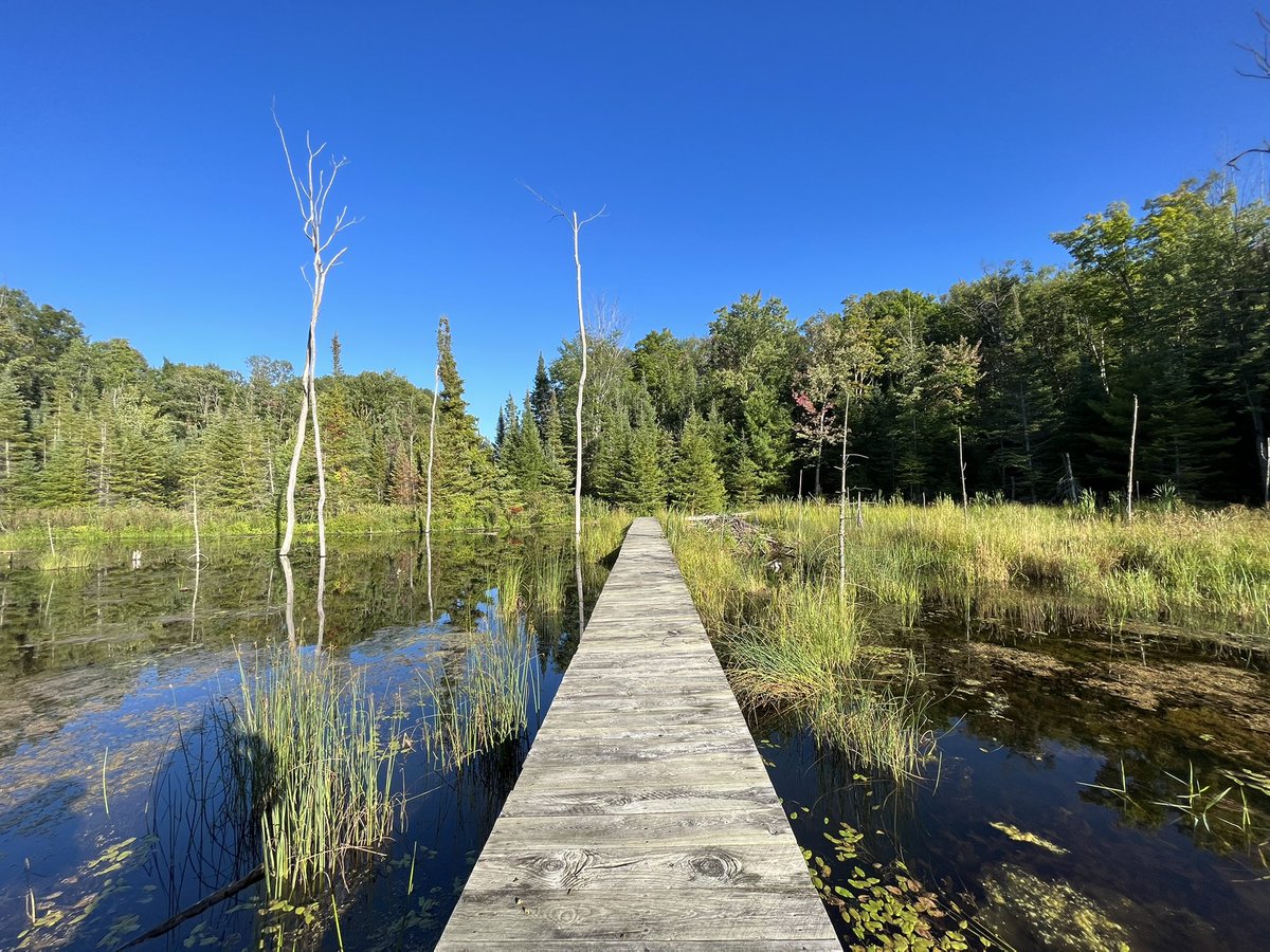 Adelaidesa_fun's tweet photo. Sometimes you gotta take a walk in nature and explore in real life too. Not just in video games. 🥰♥️ https://t.co/8SN7lF7RNn