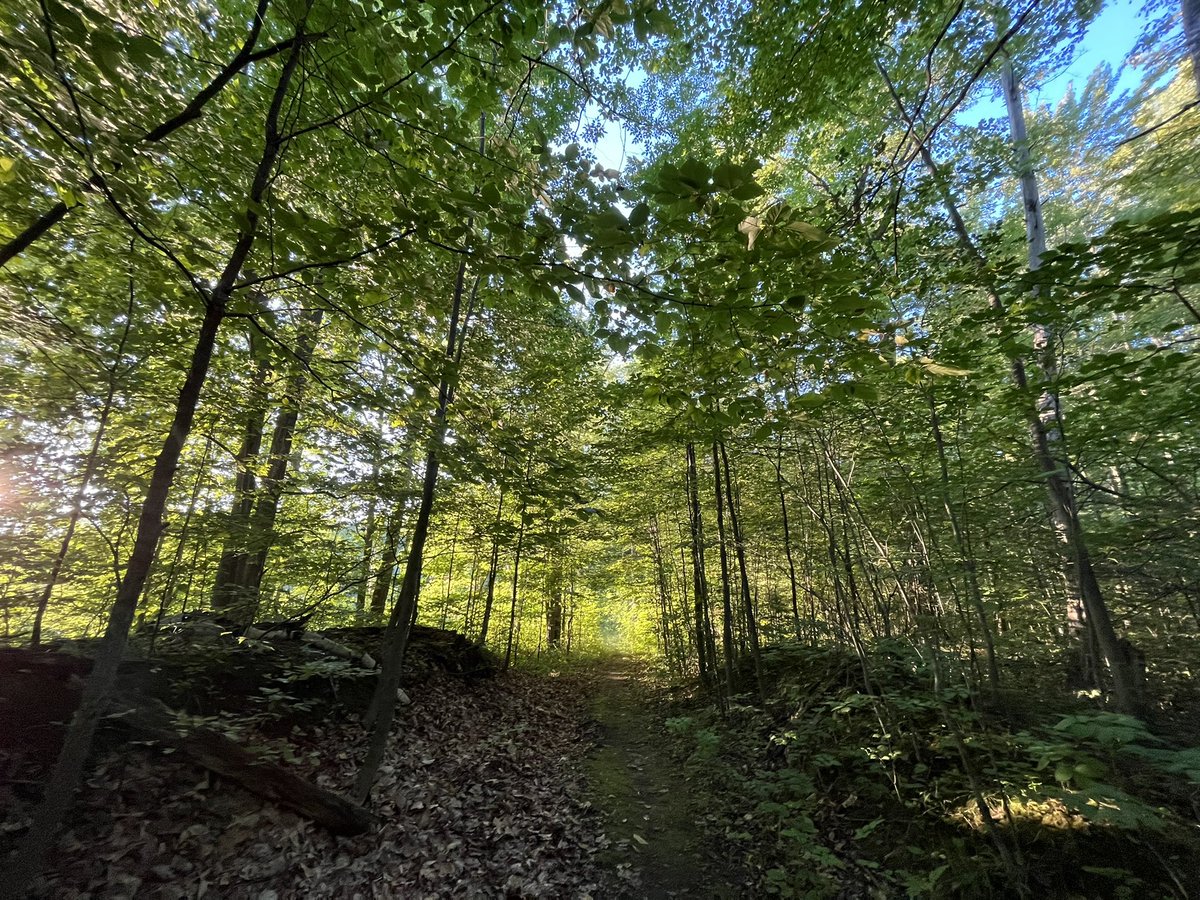 Adelaidesa_fun's tweet photo. Sometimes you gotta take a walk in nature and explore in real life too. Not just in video games. 🥰♥️ https://t.co/8SN7lF7RNn