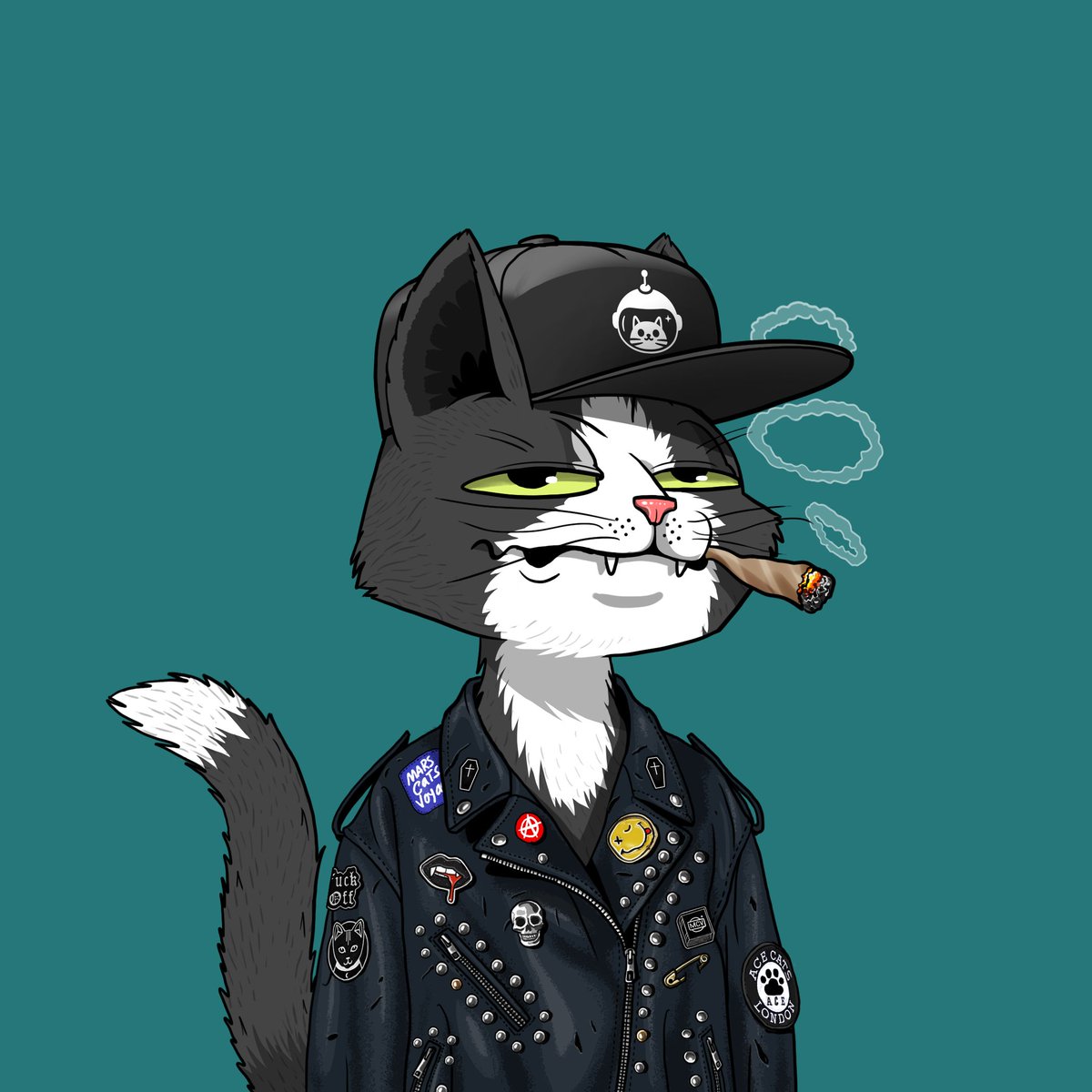 Mars Cats Voyage tweet media