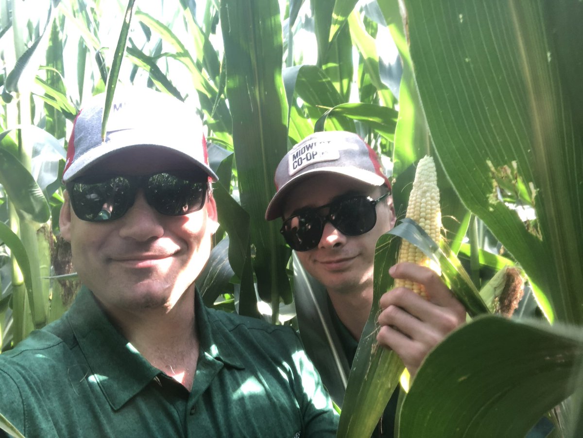 midwestco_op's tweet photo. Our Harriston Agronomy Team started the Great Lake Grain Crop Assessment Tour this morning. #GLGTour2023 🌽🌞😁 https://t.co/y631aIsLRS