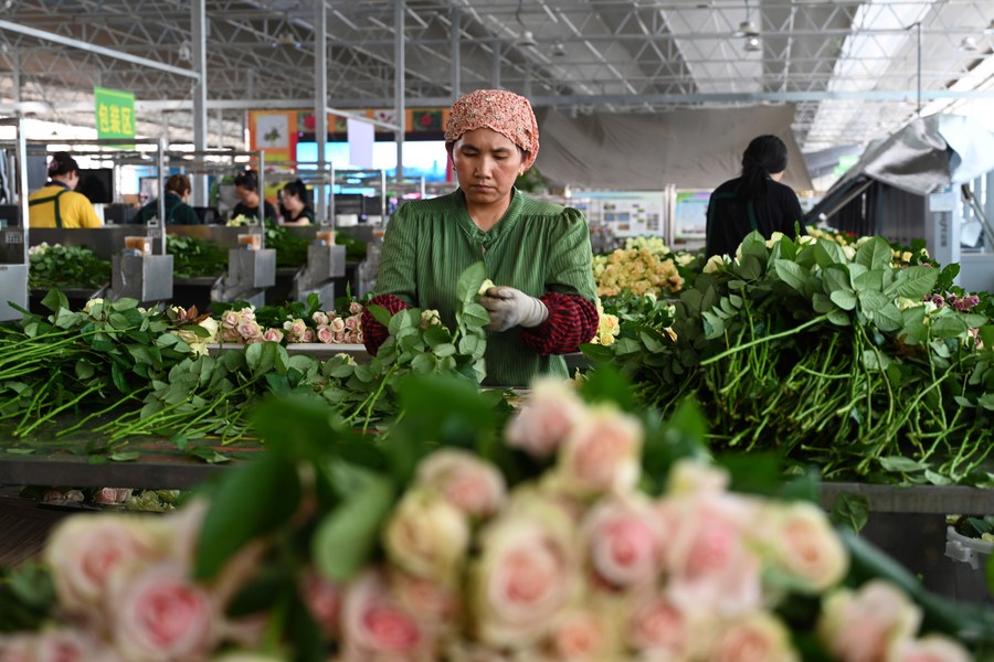 XinhuaItalia's tweet image. Un lotto di carico merci, tra cui componenti di macchinari e fiori freschi del peso di 16 tonnellate, è stato spedito dal Lanzhou Zhongchuan International Airport ad Almaty, in Kazakistan #CargoShipping #TradeRoute #CentralAsia #InternationalTrade 🛫📦🚚🌍shorturl.at/emtxM