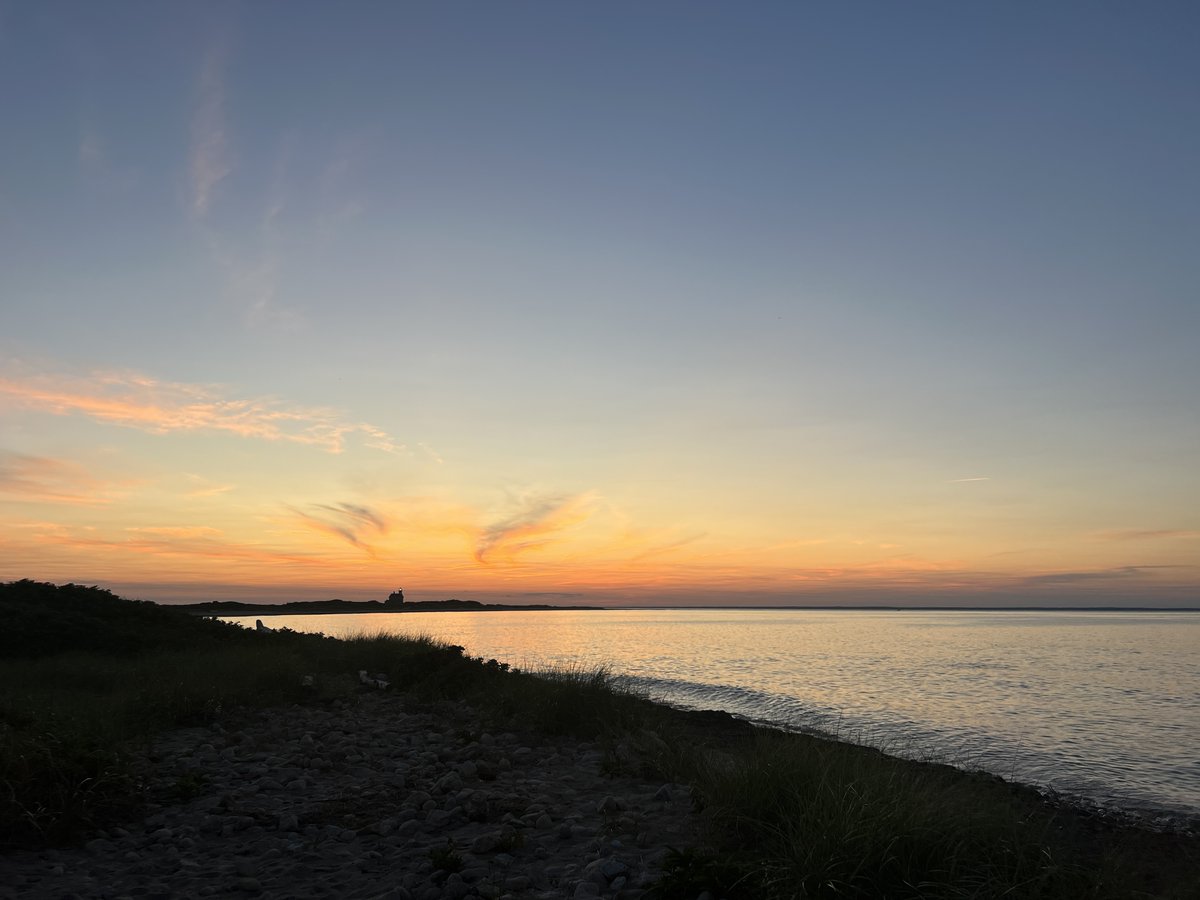 BlockIslandOrganics tweet media