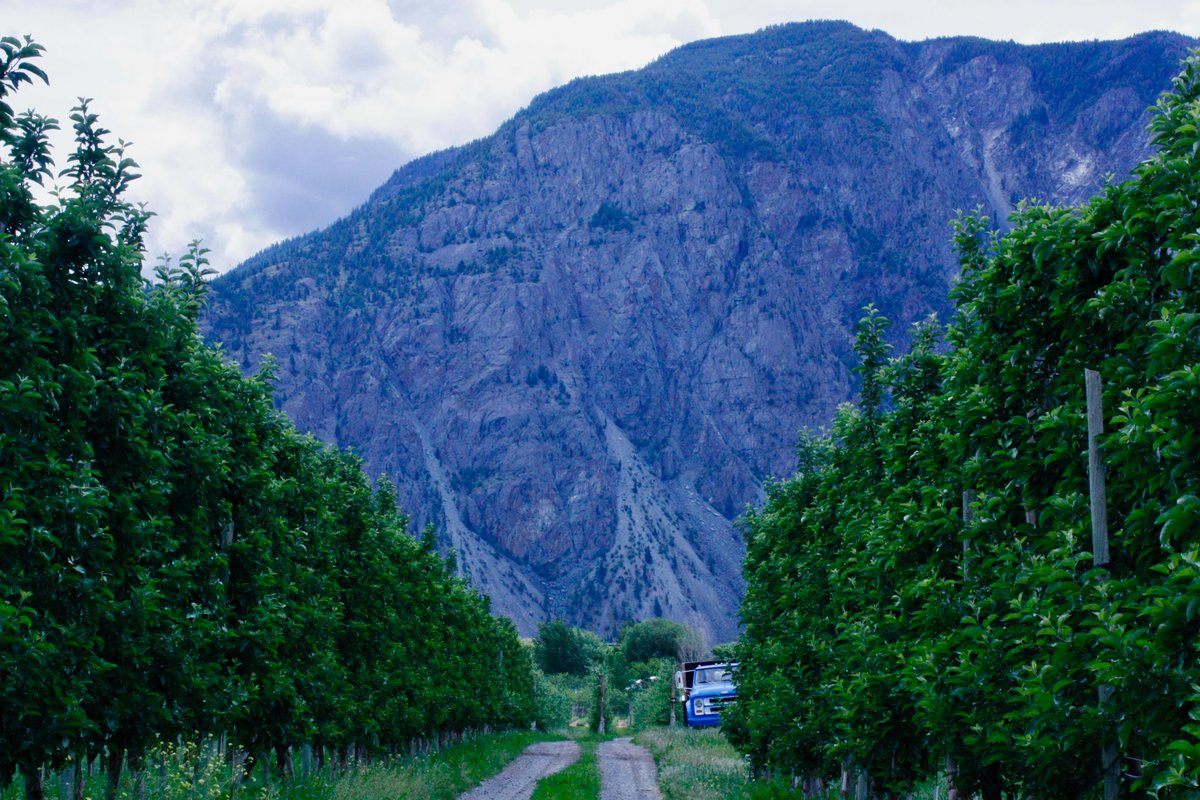 My latest article is out in @EnvSocio! "Toxic Freedom: How middle-class seasonal fruit pickers perceive &amp; manage agrochemical exposures" shows how workers may downplay #pesticide exposure by framing it as a reasonable trade-off for freedom and adventure. tandfonline.com/doi/full/10.10…