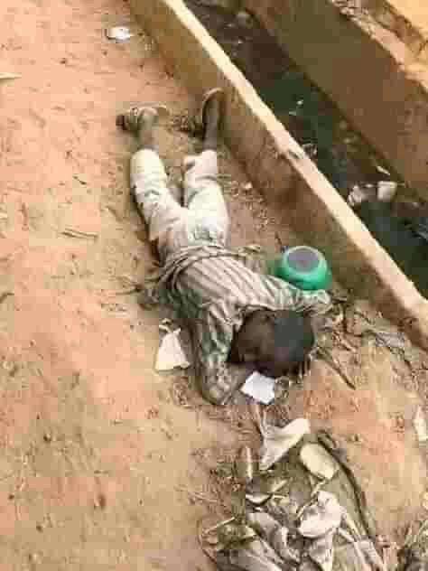 MosesInna's tweet photo. Since our so called leaders argue and condemned HE Peter obi when he said he was committed to lifting people out of poverty starting from the north. Seriously we don't have poor people in the north these children are from south Africa 🙄
#Giveusdate
#AllEyesOnTheJudiciary https://t.co/lkAFqqtJL2