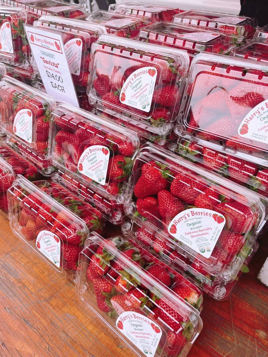 shaazazhar's tweet photo. The aroma of strawberries can be smelled from a distance. https://t.co/PBICETCgu9