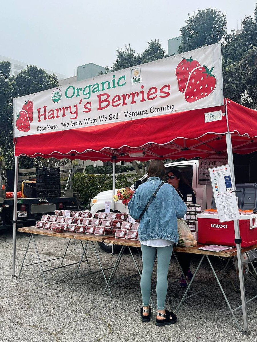 shaazazhar's tweet photo. The aroma of strawberries can be smelled from a distance. https://t.co/PBICETCgu9