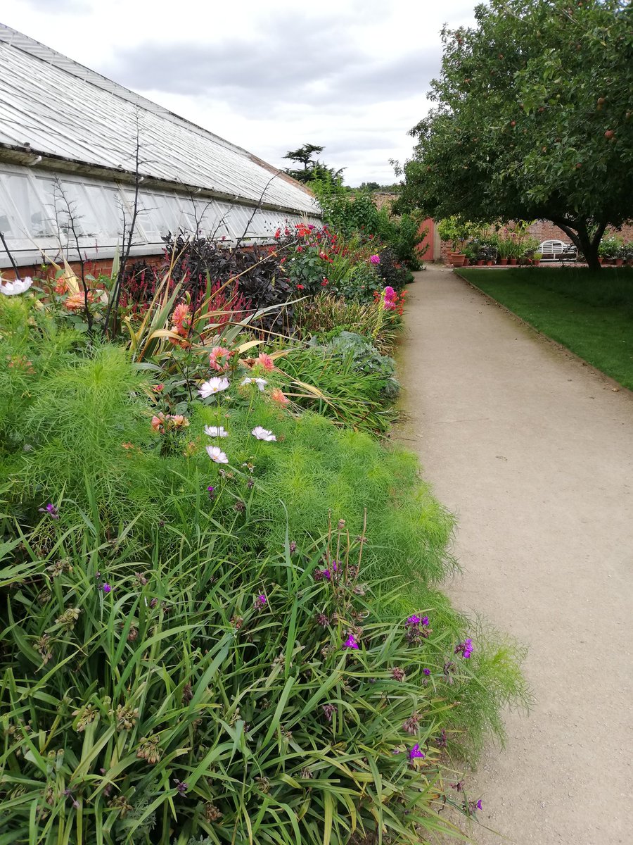 I aspire to have a walled garden like this one. I live to dream..... 🌸🌻🌼🌺