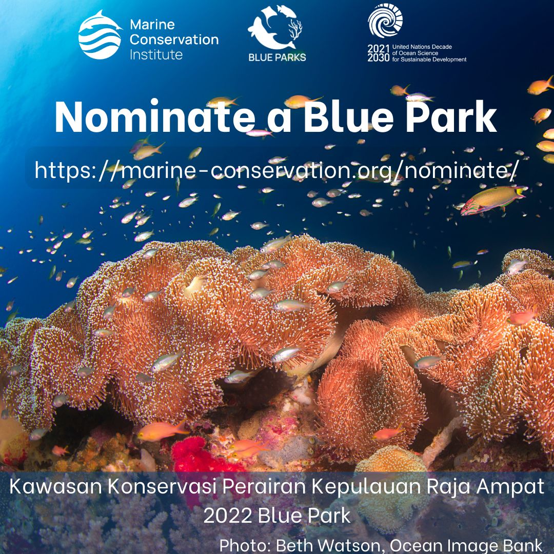 📢 ¡La convocatoria para los Premios Blue Park está abierta! Excelente oportunidad para nominar áreas marinas protegidas (AMPs) en la región del SAM  🙌 lnkd.in/dHs5AEP Fecha límite: 15/sept/23  #ArrecifeMesoamericano #BlueParks