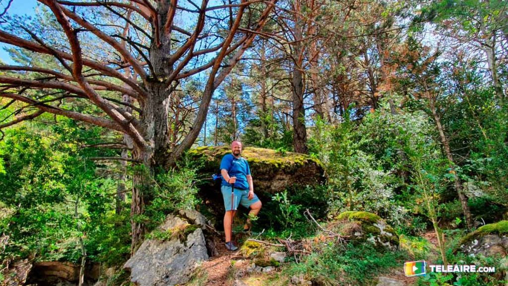 martineznotte's tweet photo. Hoy te compartimos todos los detalles para realizar la Etapa 1 del Camino del Santo Grial (incluye #vídeo, tracks y guía): https://t.co/IyNZ9O9J10 #caminosantogrial #santogrial #aragon #caliz https://t.co/ZSsJlB0WFe