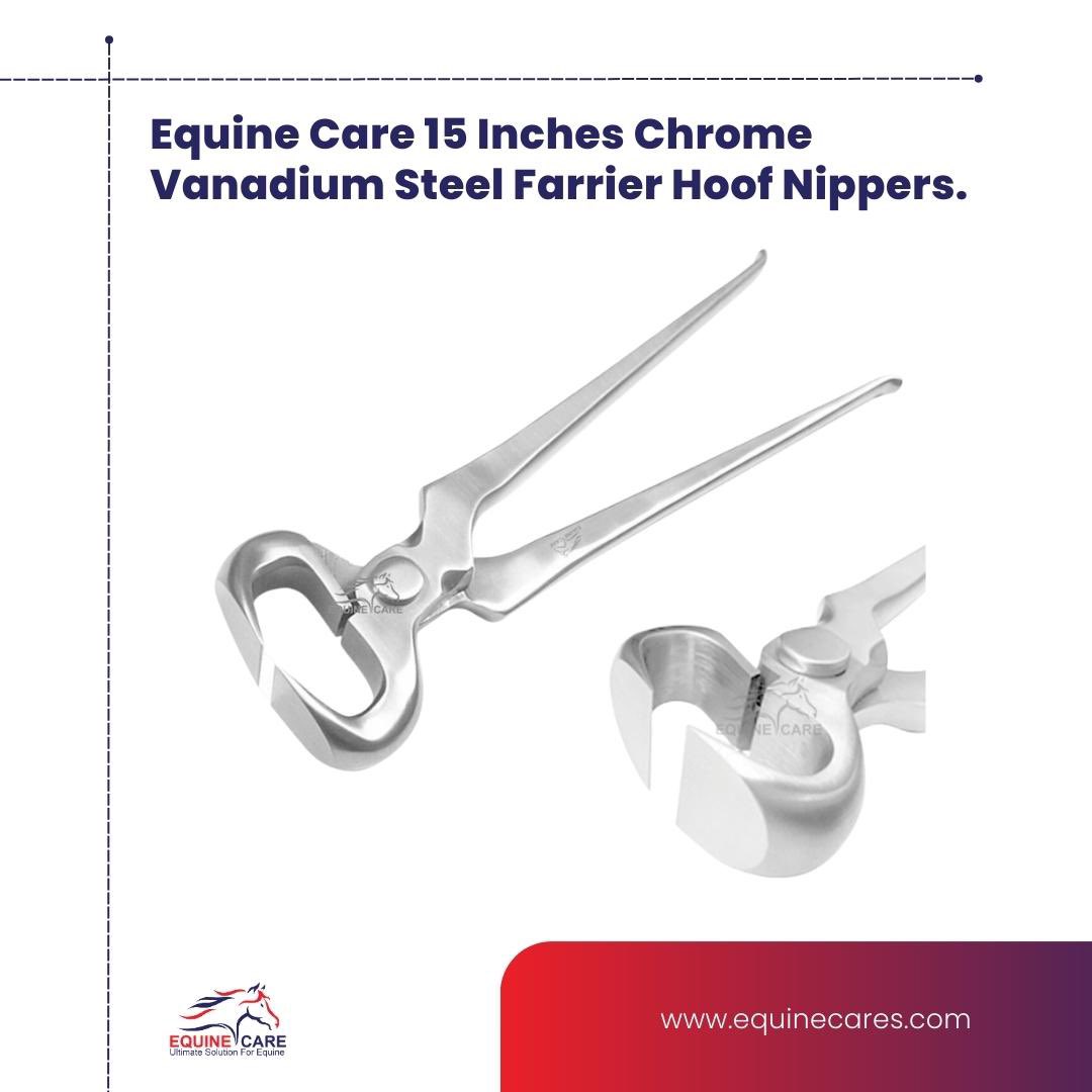 #EquineCare #FarrierHoofNipper #HoofTrimming #HorseHealth #horsecare #horse #horses #equestrian #horsesofinstagram #equine #equestrianlife #horselove #bahrain #horsehealth #horseriding #farrier #horselife #dressage #horselover #hoofcare #equestrianstyle #horsegrooming