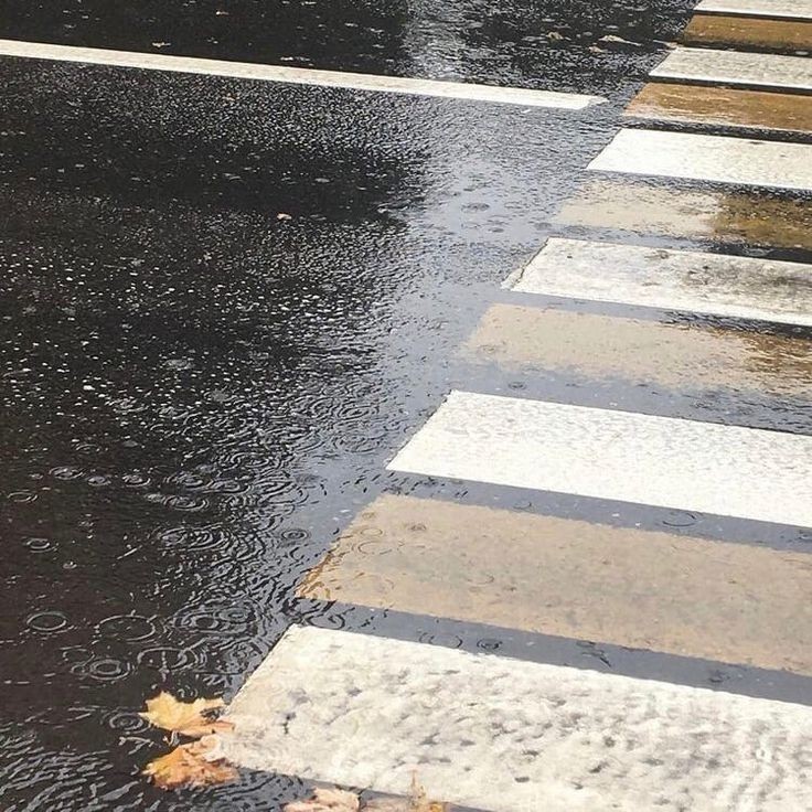 softdeIicacy's tweet photo. rainy days. https://t.co/fGj6D3dyZ6