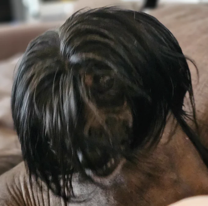 scrunklies 