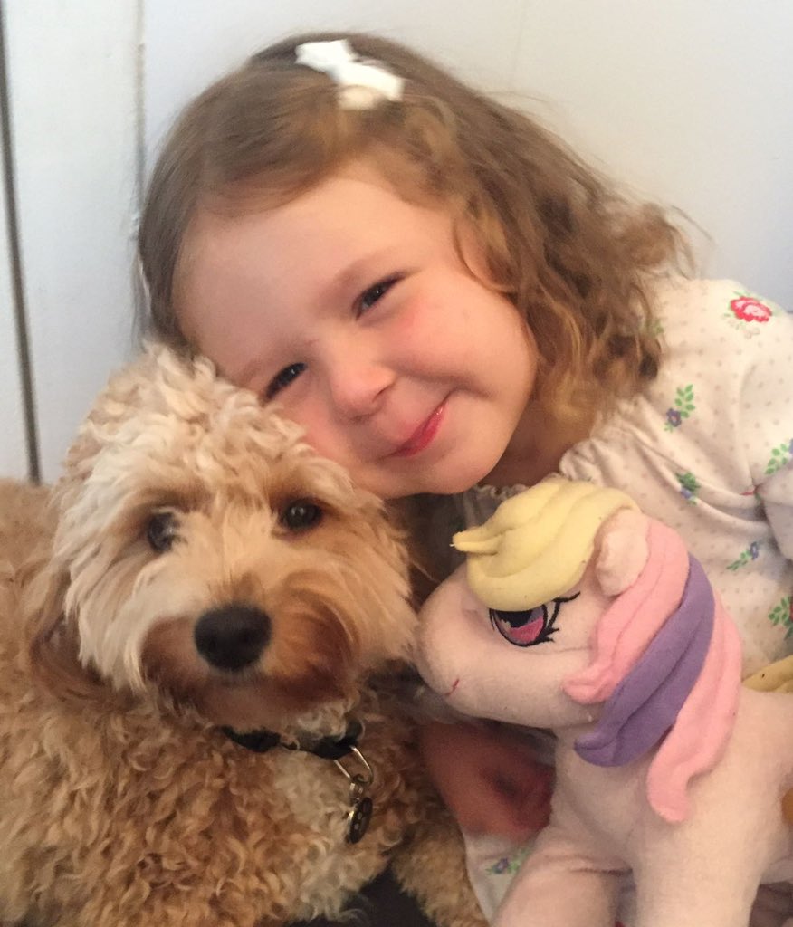 AmyAnderson2511's tweet photo. @hotelsdotcomuk I know a little dog that deserves some r&amp;r! https://t.co/zR3yF0BIRE